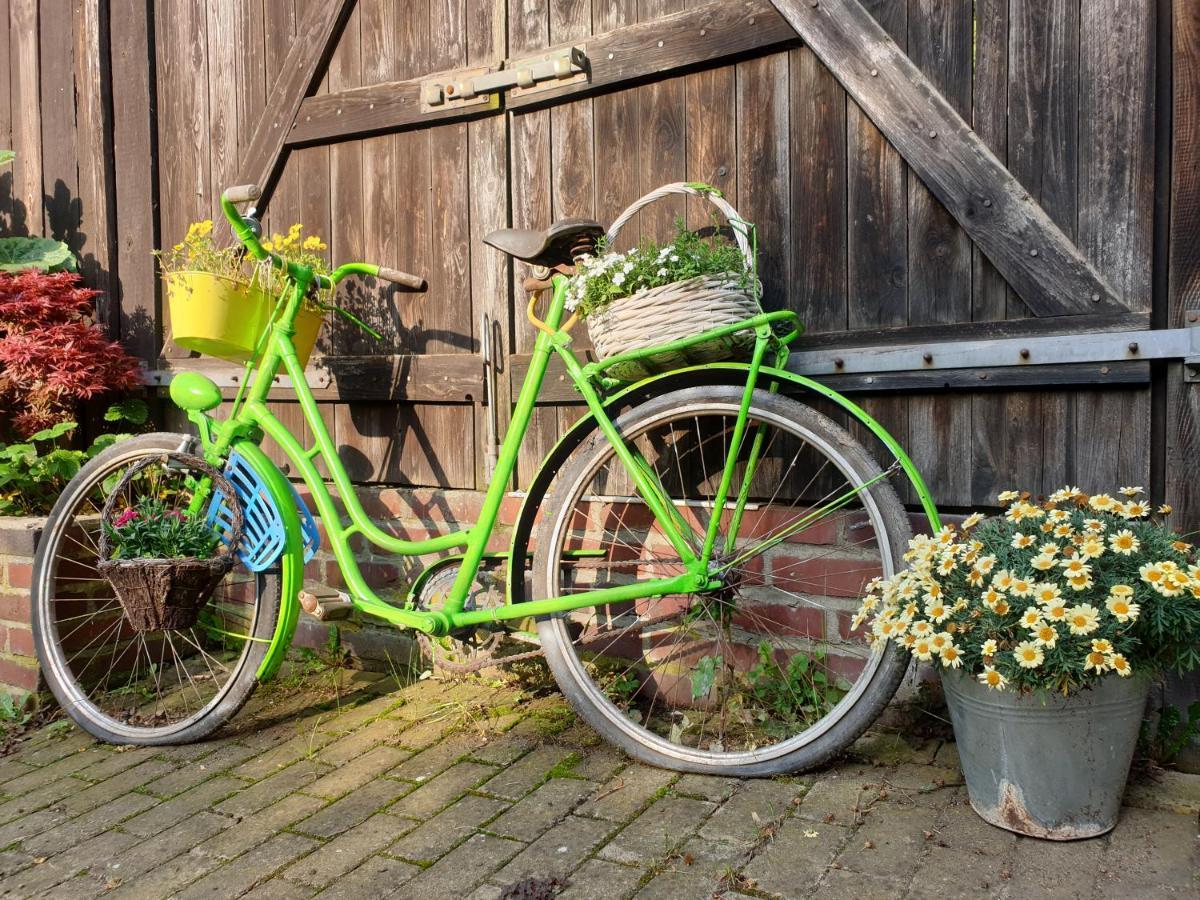 Ferienhof Gruene Kuh Elsteraue Esterno foto