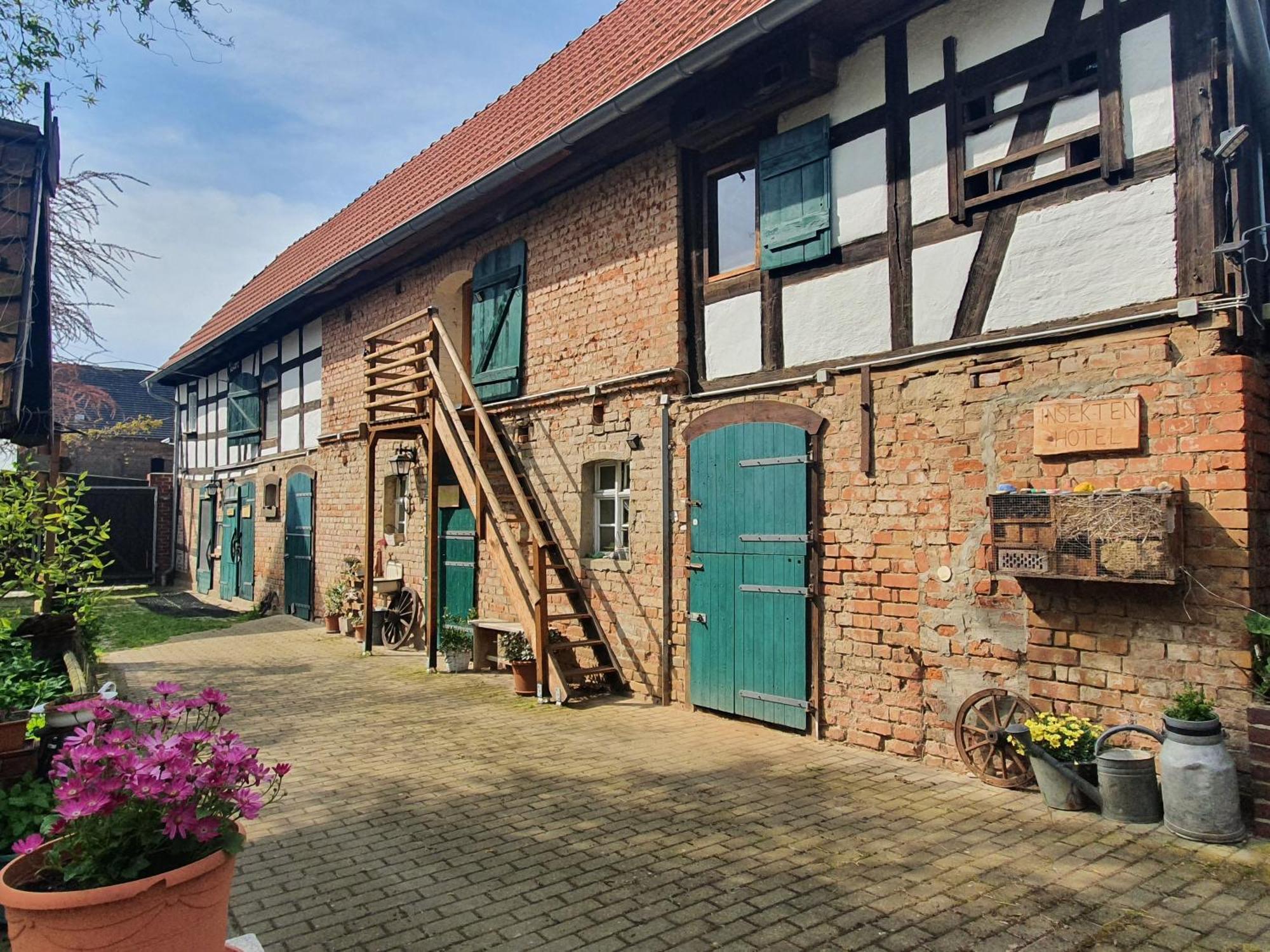 Ferienhof Gruene Kuh Elsteraue Esterno foto