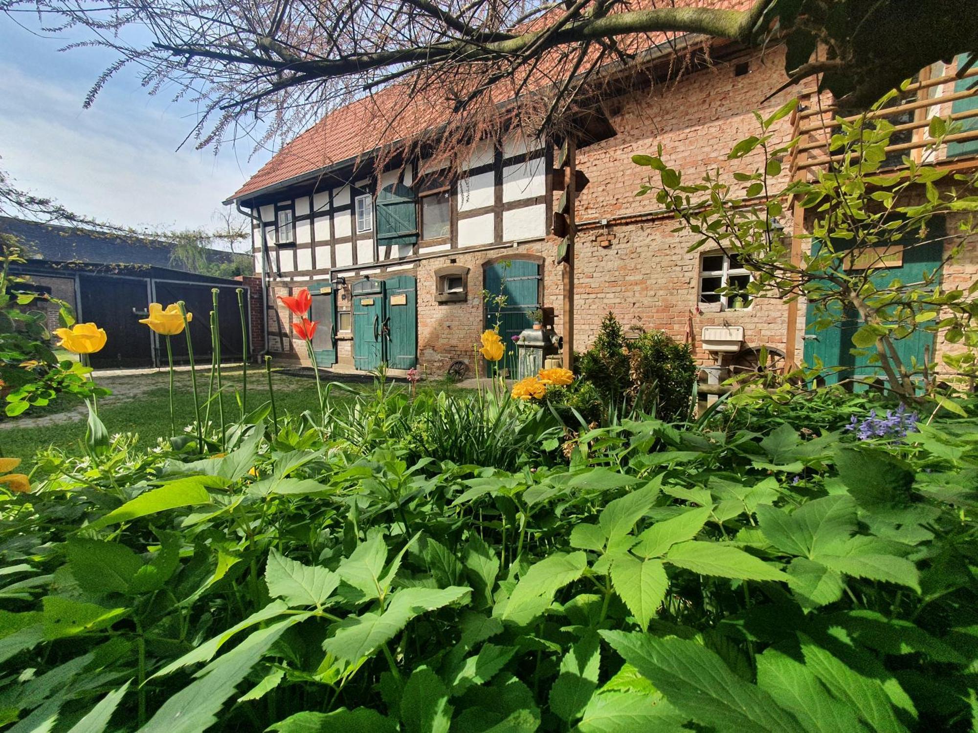 Ferienhof Gruene Kuh Elsteraue Esterno foto