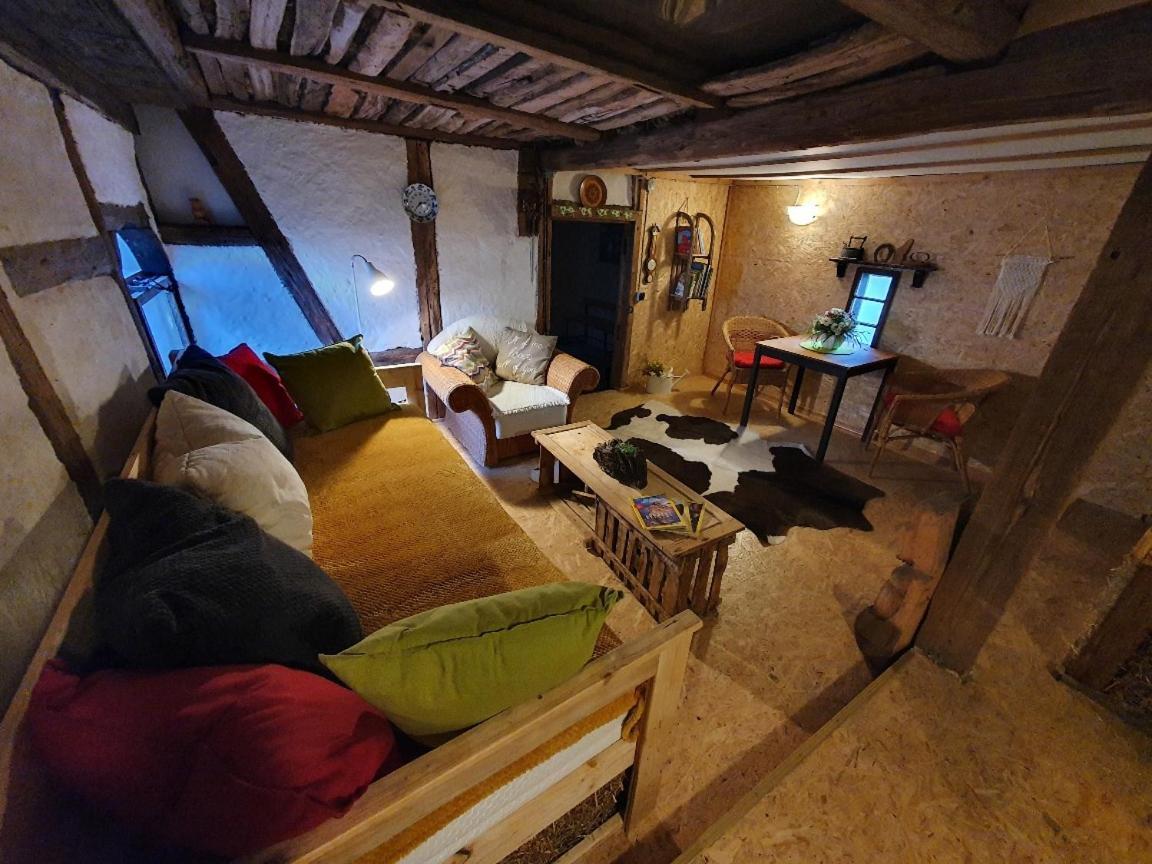 Ferienhof Gruene Kuh Elsteraue Esterno foto