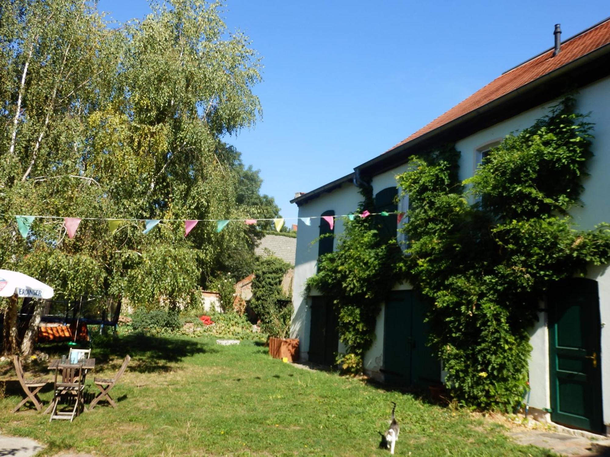 Ferienhof Gruene Kuh Elsteraue Esterno foto