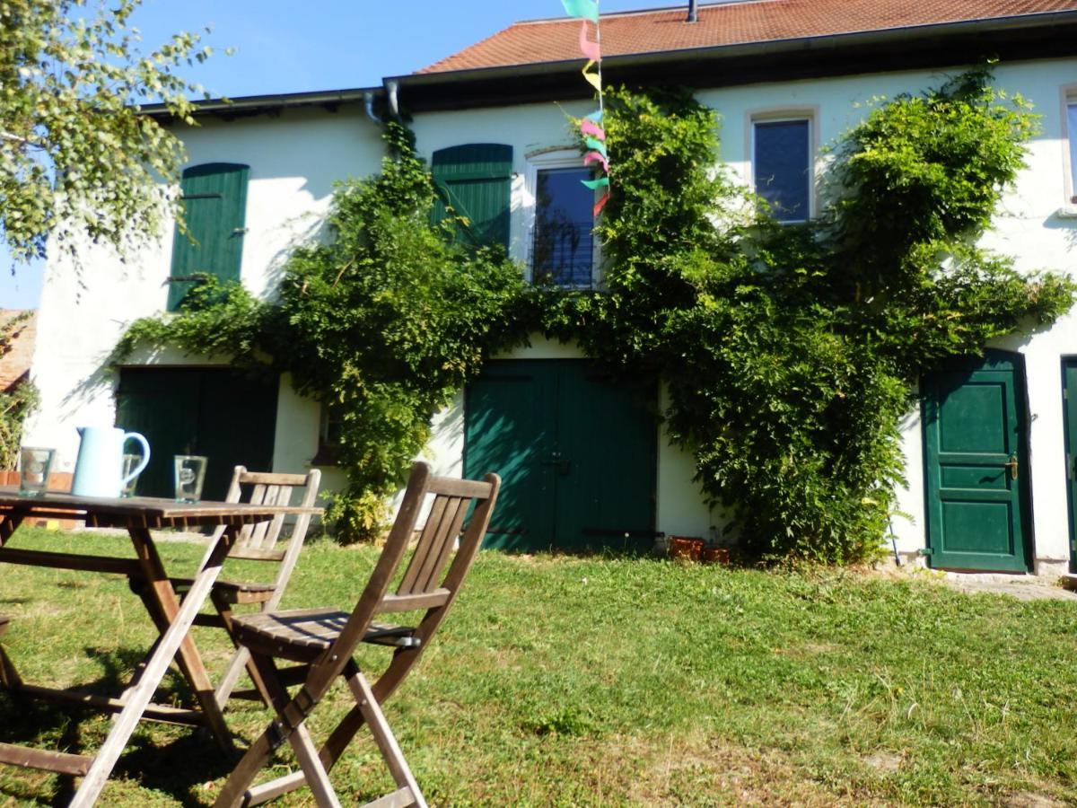 Ferienhof Gruene Kuh Elsteraue Esterno foto